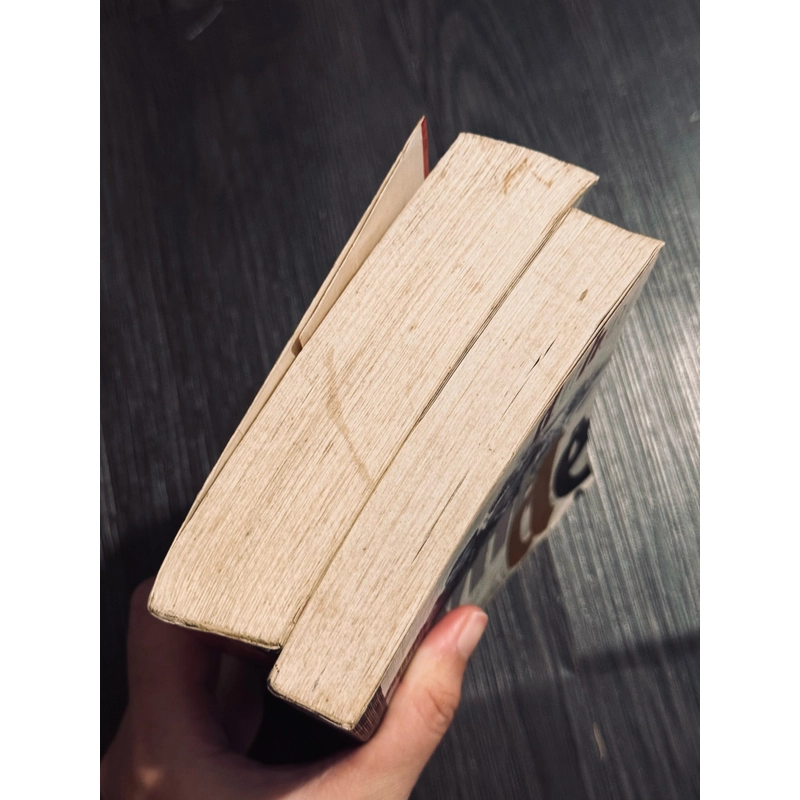 Trọn bộ 2 tập Huynh Đệ - Dư Hoa (đọc mô tả) 498087