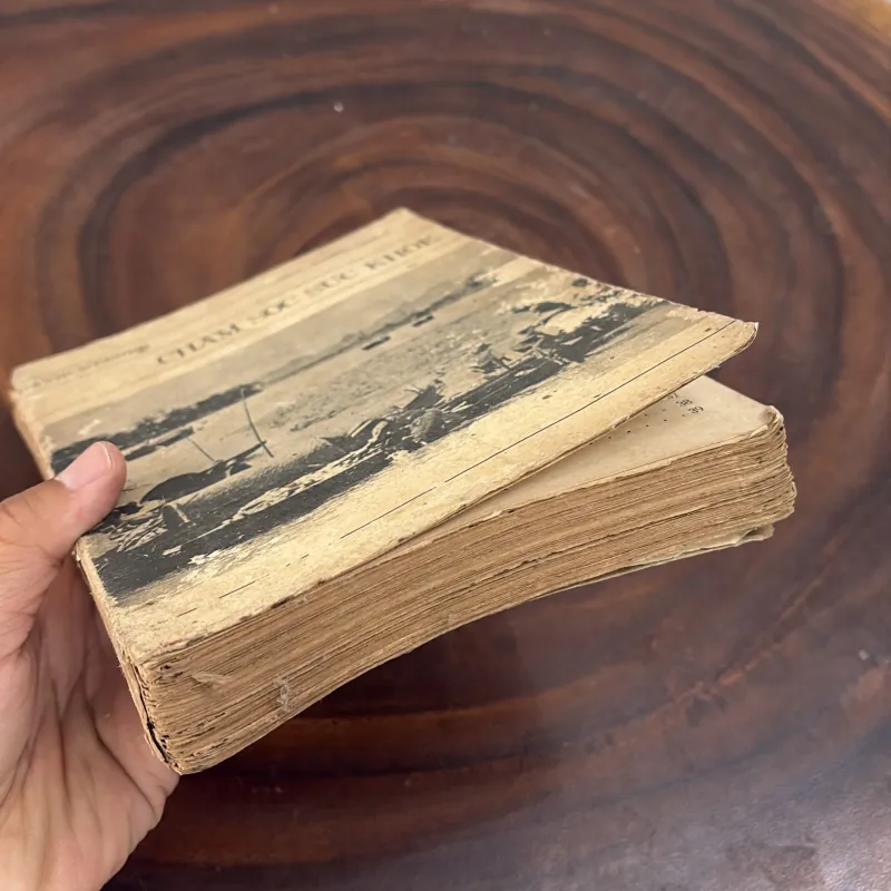 II Sức Khoẻ: Chăm Sóc Sức Khoẻ - DAVID WERNER - 1983 1010438