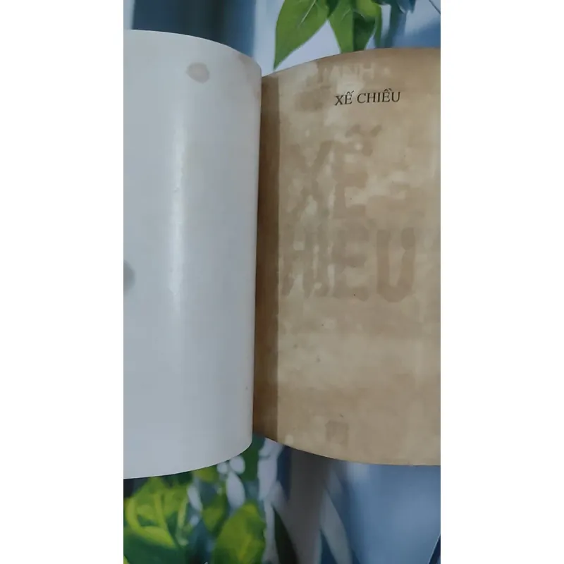 [XƯA] Xế Chiều (1993) - Hữu Anh 798511