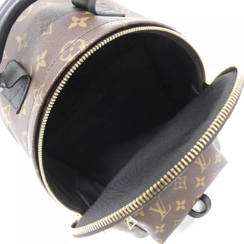 Ba lô Louis Vuitton Monogram Palm Springs PM M44871 611271