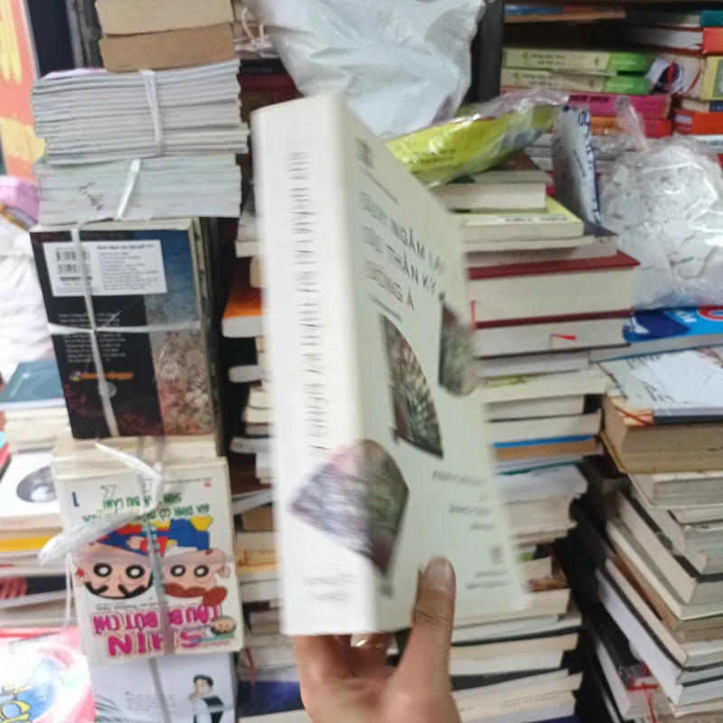 Suy Ngẫm Lại Sự Thần Kỳ Đông Á- Joseph E. Stiglitz Và Shahid Yusuf 925959