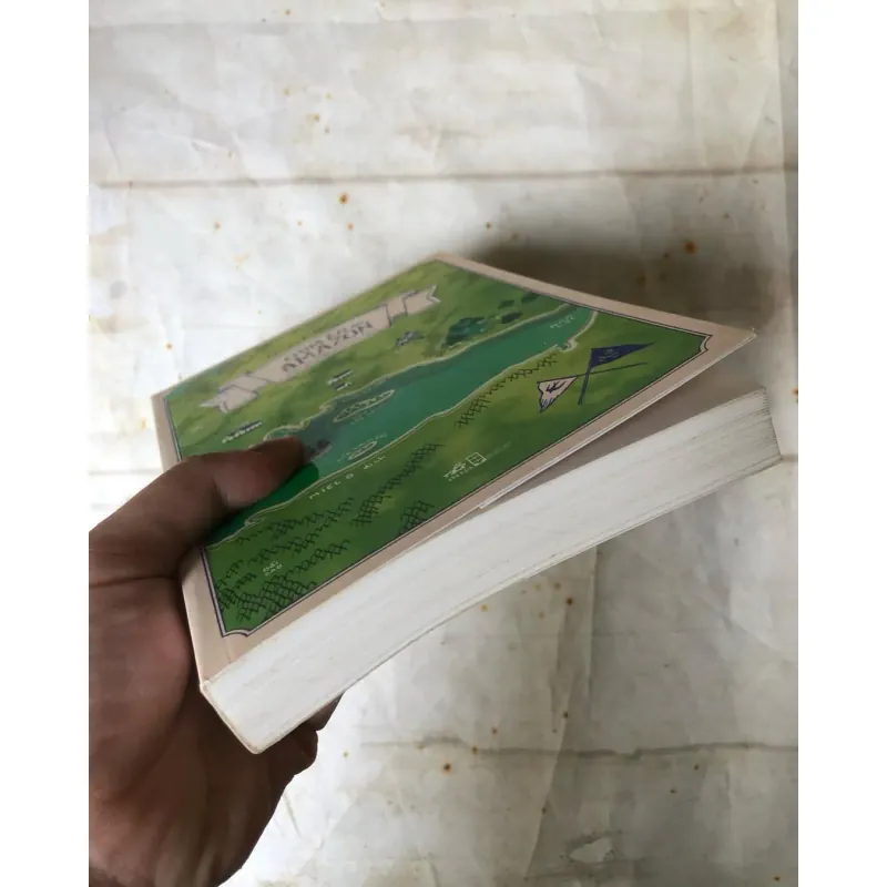 Chim Én Và Amazon: Mùa Hè Trên Hoang Đảo - Arthur Ransome 756696