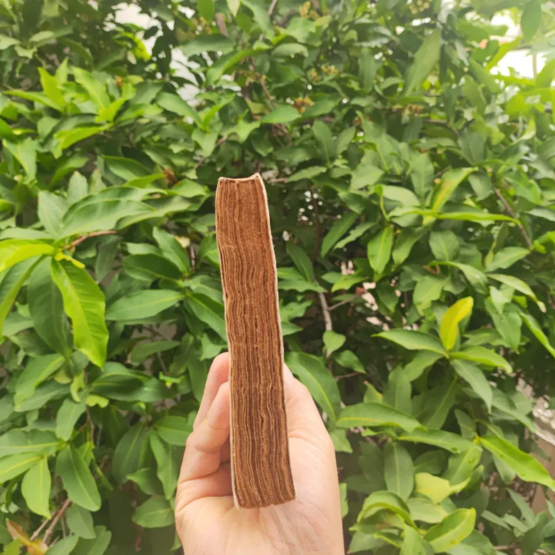 Những Quy Luật Chính Trị Trong Sử Việt - Vũ Tài Lục 561054