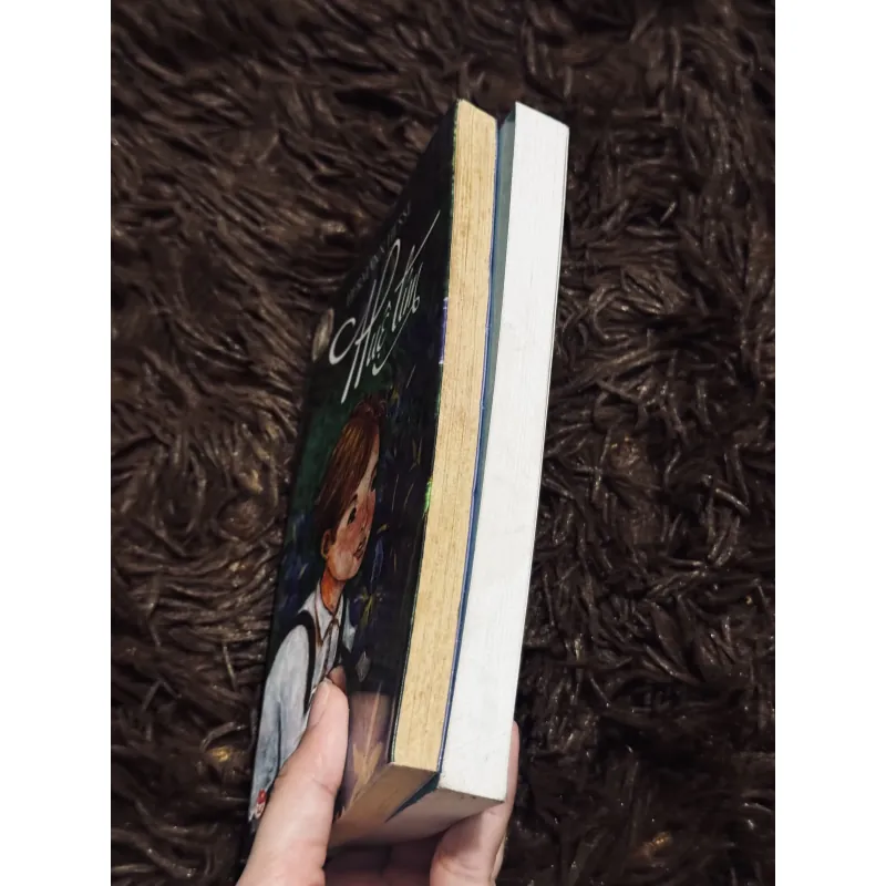 Combo Hermann Hesse 1030636