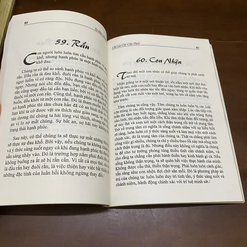 Chỉ là một cội cây thôi 606089