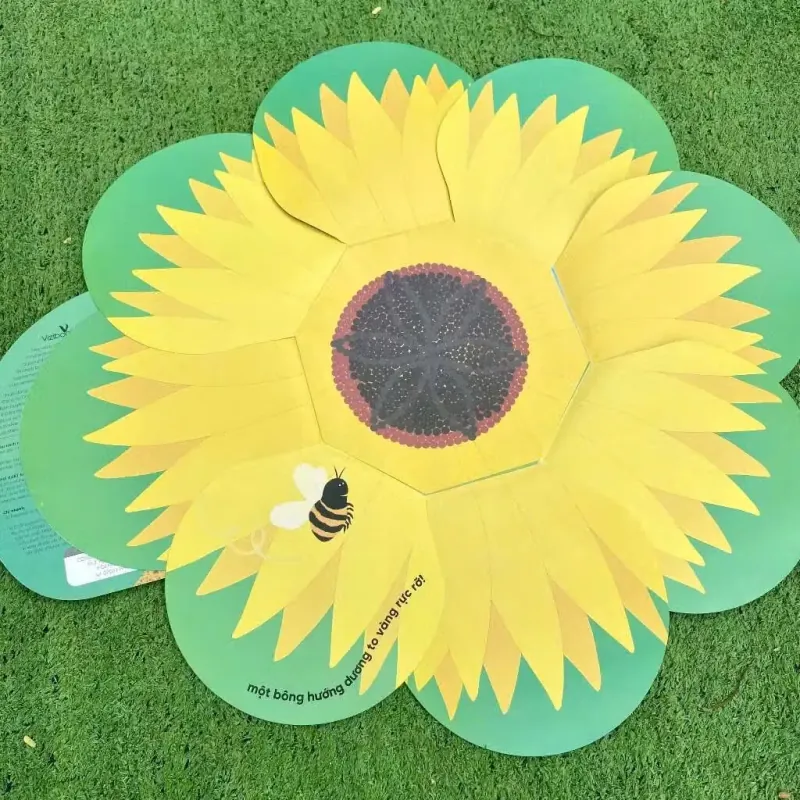 Vòng Đời Kỳ Diệu - Hoa Hướng Dương Lớn Lên Như Thế Nào?  753555