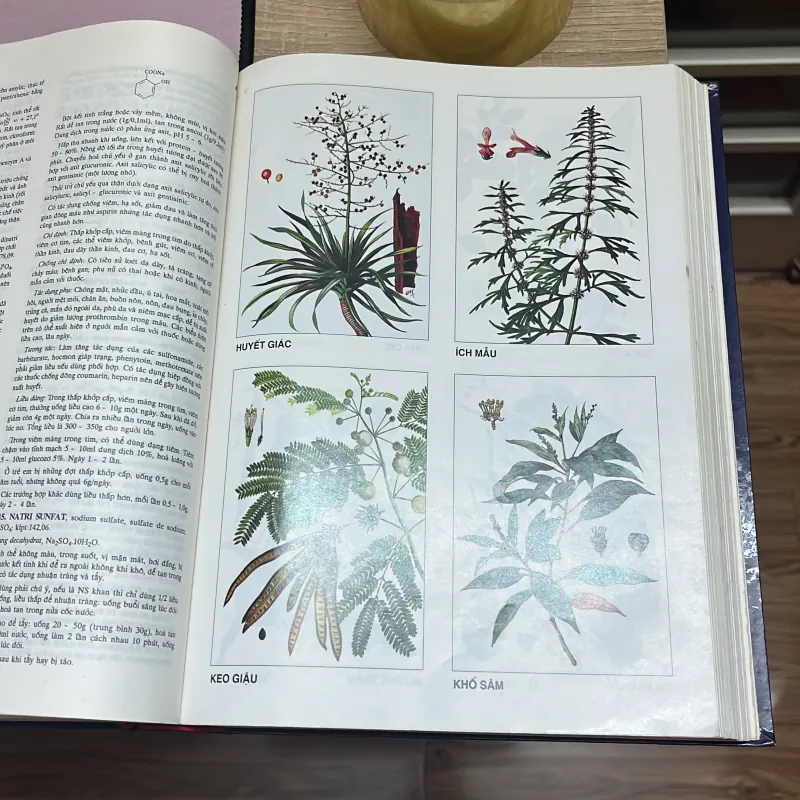 Từ điển bách khoa Dược học 976426