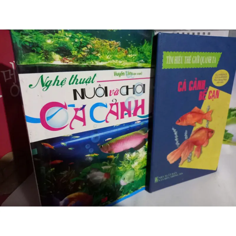 kỹ thuật nuôi chơi cá cảnh 601949