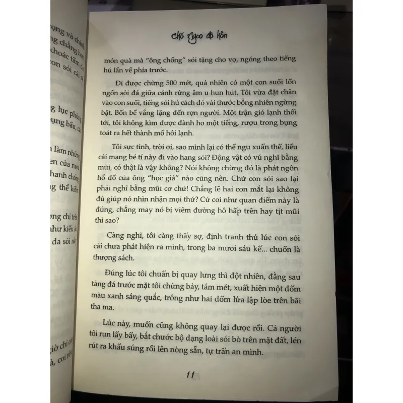 Chó ngao độ hồn - Thẩm Thạch Khê 1027048