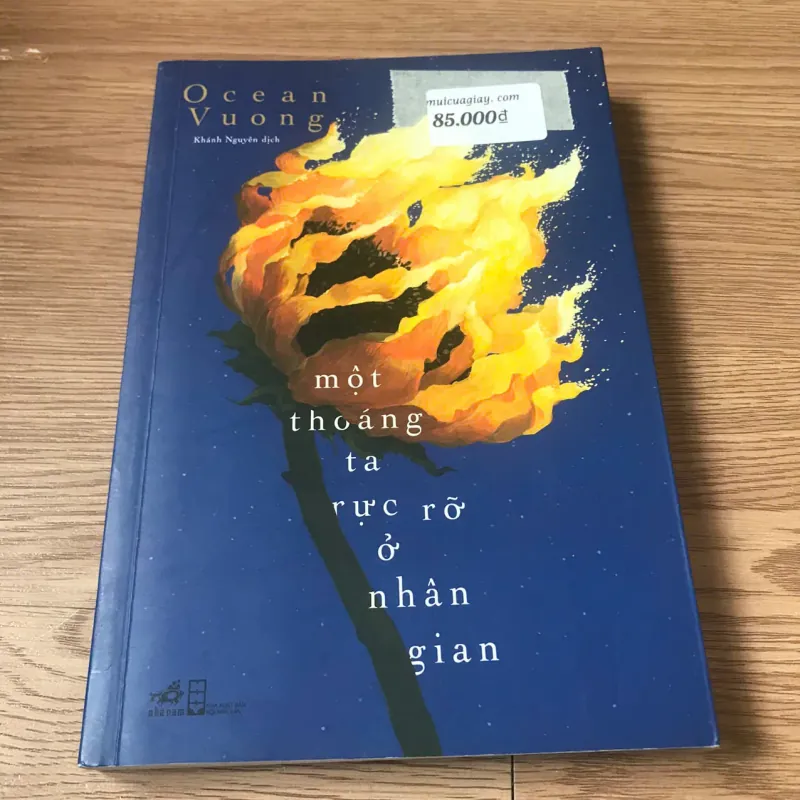 Một thoáng ta rực rỡ ở nhân gian - Ocean Vương 926054