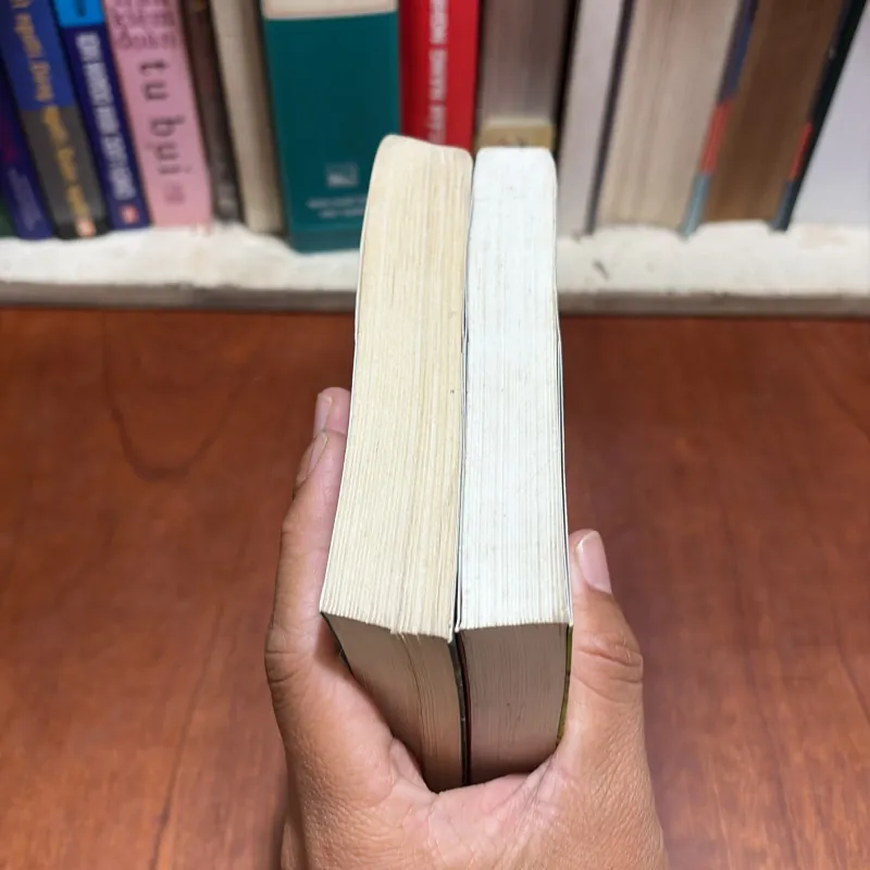 II Văn Học: Anne Tóc Đỏ _ Dưới Chái Nhà Xanh Và Làng Avonlea - L.M. MONTGOMERY - 2014 801116