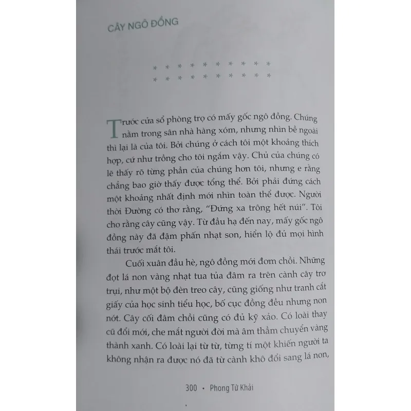 Nhàn đàm/ SỐNG VỐN ĐƠN THUẦN/ Phong Tử Khải/ Mới 100% 1023194