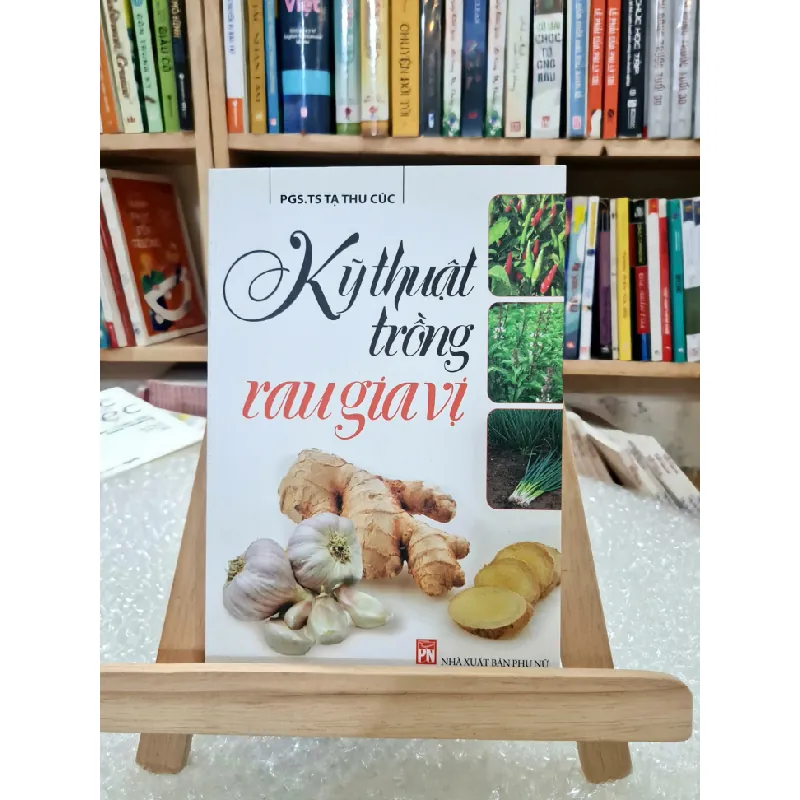 Sách đồng giá 19k TSTK0906 10 Blogmeo21025 579053