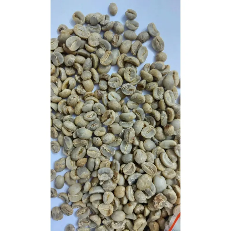 Cà Phê Hạt Rang/Xay - Cà Phê Bột- Cà Phê Hoà Tan - Bột Ca Cao 998126