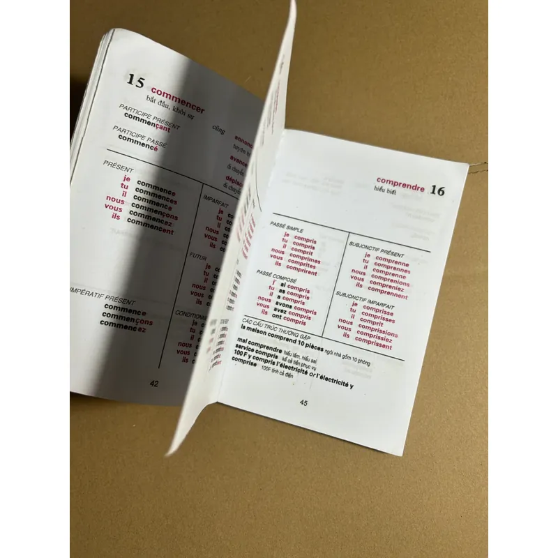 Hướng dẫn chia động từ tiếng Pháp 732240