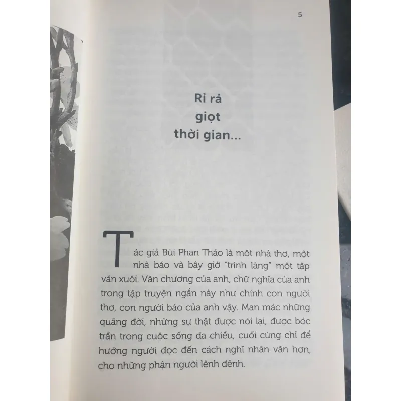 Búp Bê Áo Rách 732876