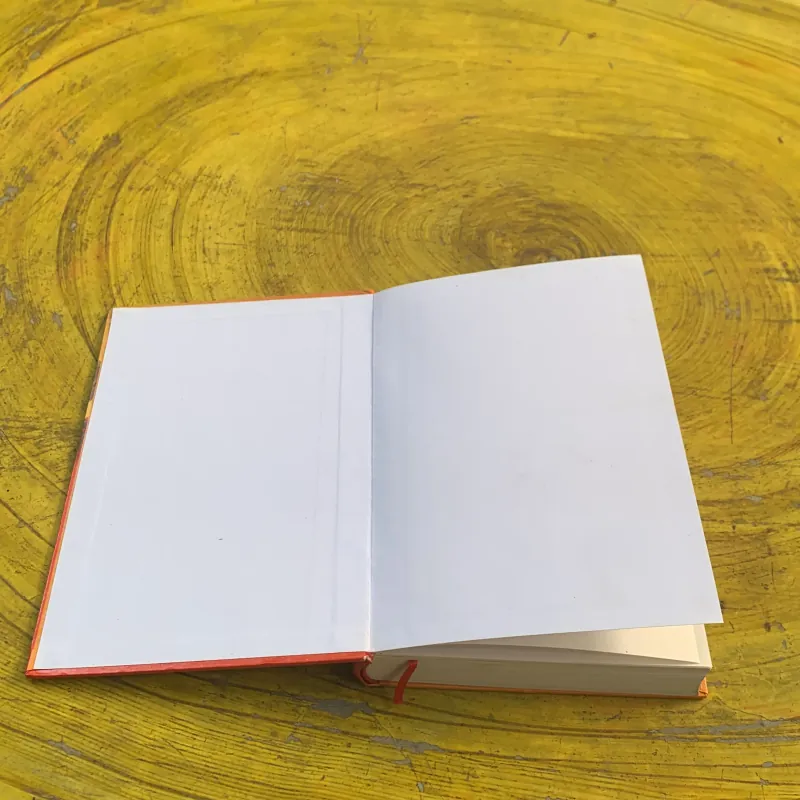 RUỒI TRÂU- ETHEL L. VOYNICH bìa cứng 783355