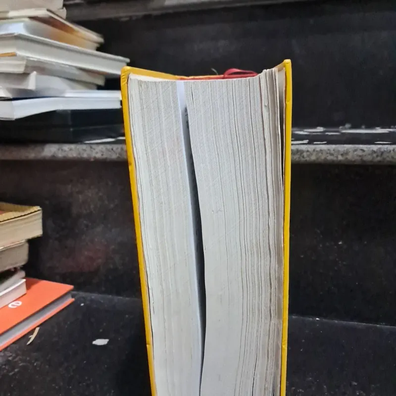 Từ điển Hán Việt hiện đại 1009693