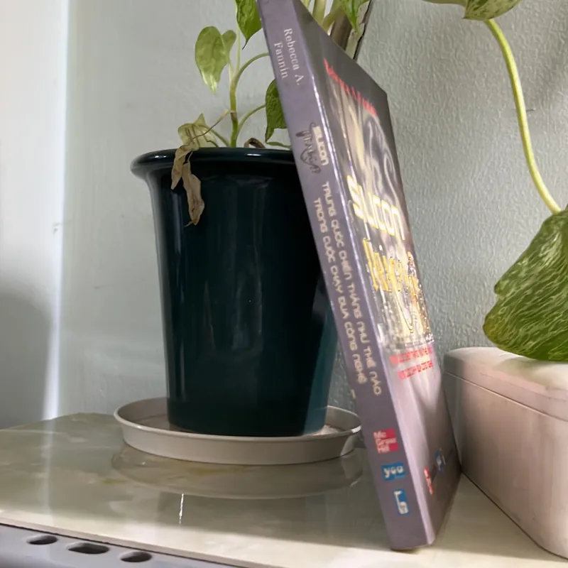 Silicon dragon 746446