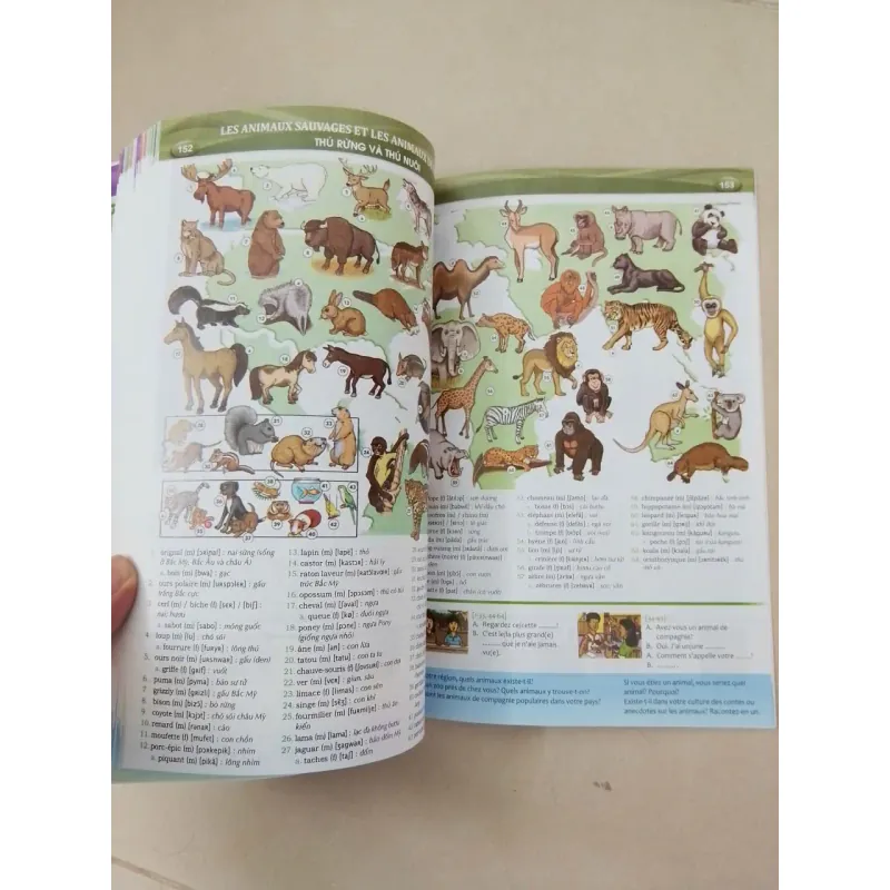 Nâng cao vốn từ vựng tiếng Pháp theo chủ đề bằng hình ảnh 692945