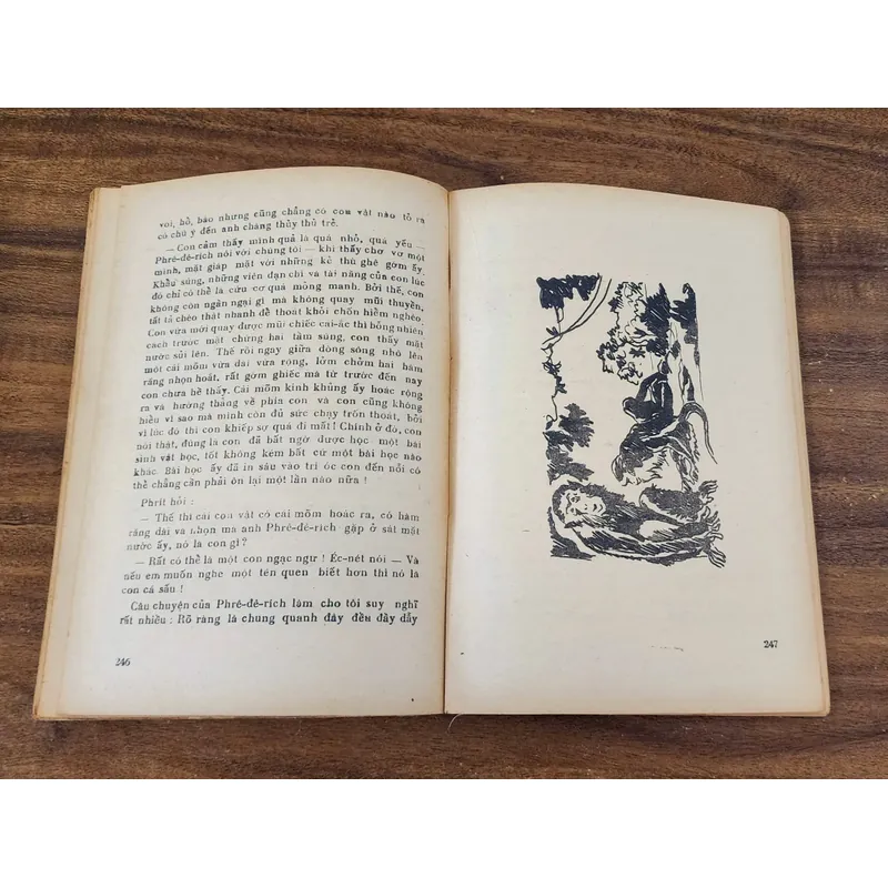 LỚN LÊN TRÊN ĐẢO VẮNG - tranh vẽ minh họa (NXB Kim Đồng 1986) 732102