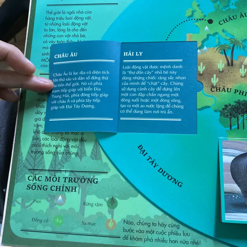 Atlas da tương tác  về động vật hoang dã 766035