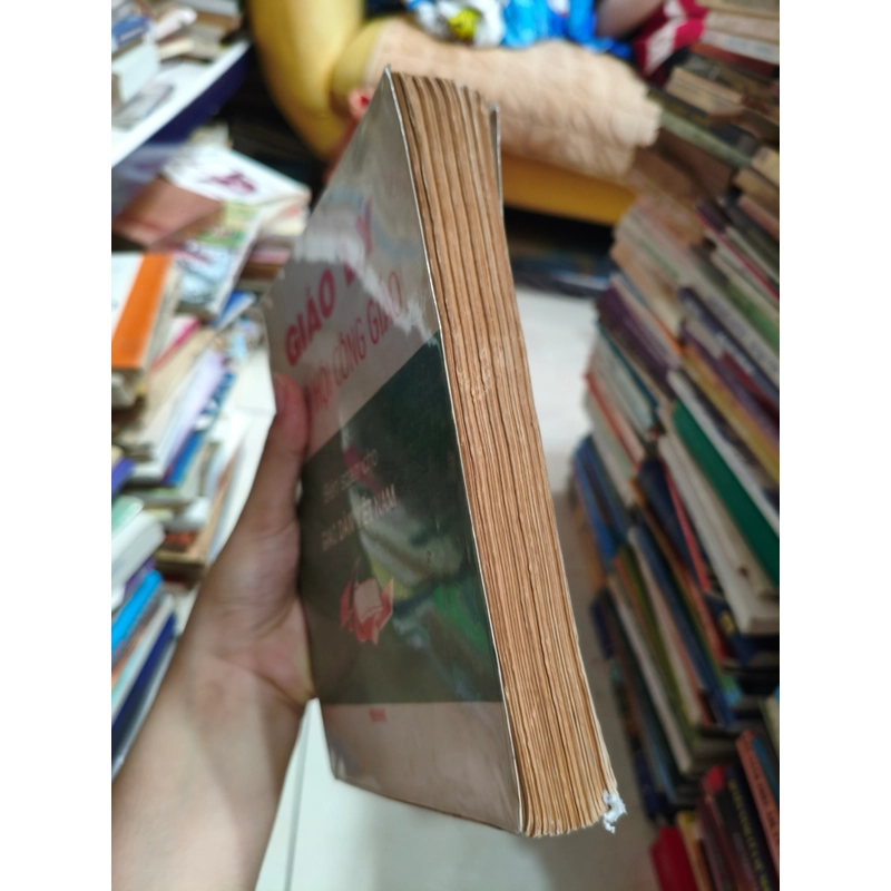 Giáo lý giáo hội Công giáo 🌱 464008
