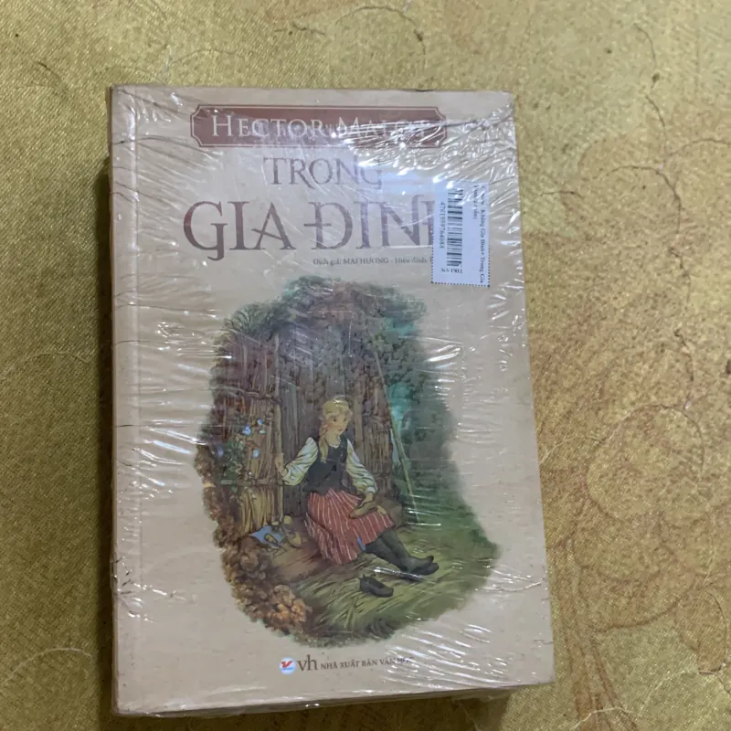 COMBO HECTOR MALOT: KHÔNG GIA ĐÌNH & TRONG GIA ĐÌNH 752144