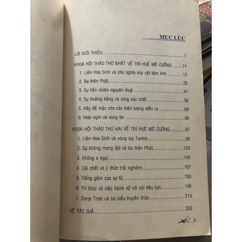 Trí tuệ mê cuồng - Chogyam Trungpa 1009754