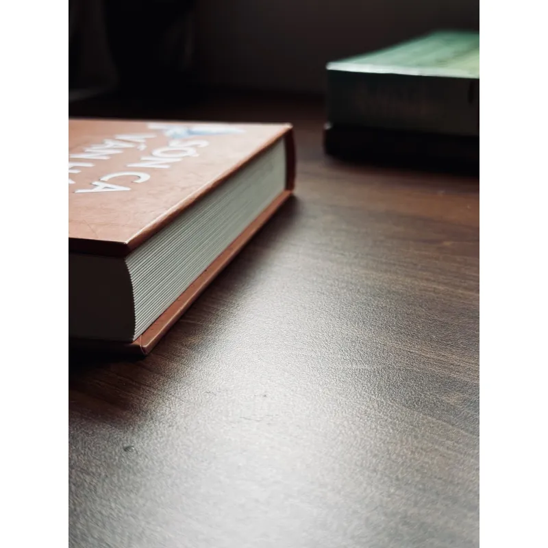 Sơn ca vẫn hót (Bìa cứng) - Kristin Hannah 788034