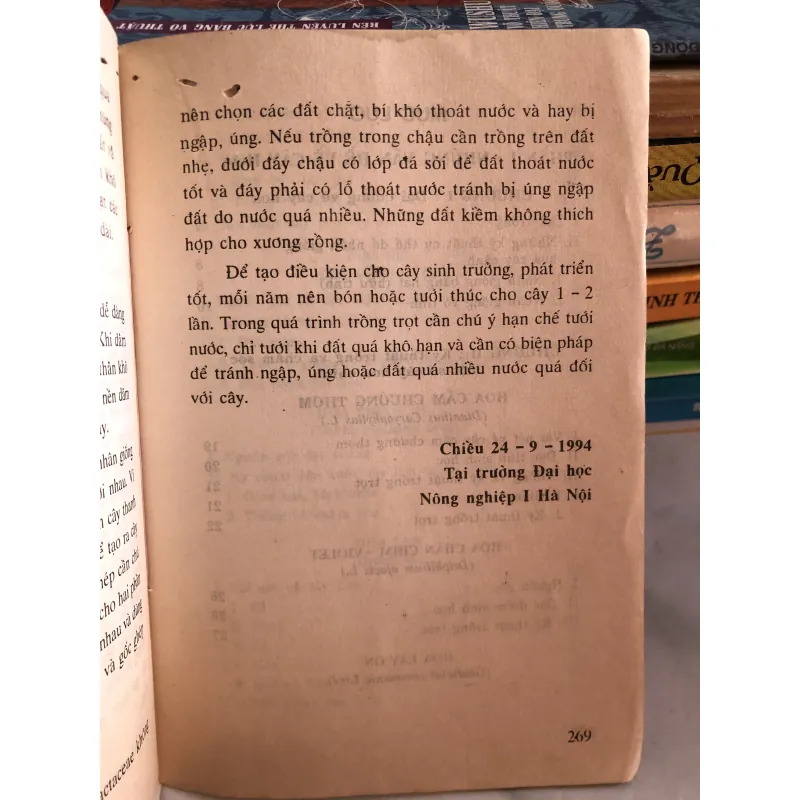 Trồng hoa cây cảnh trong gia đình - Nguyễn Huy Trí - Đoàn Văn Lư 1001807