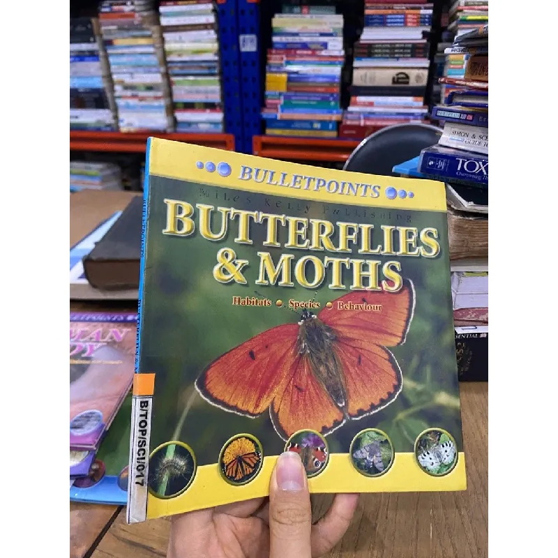 Bulletpoints about Animals 563589