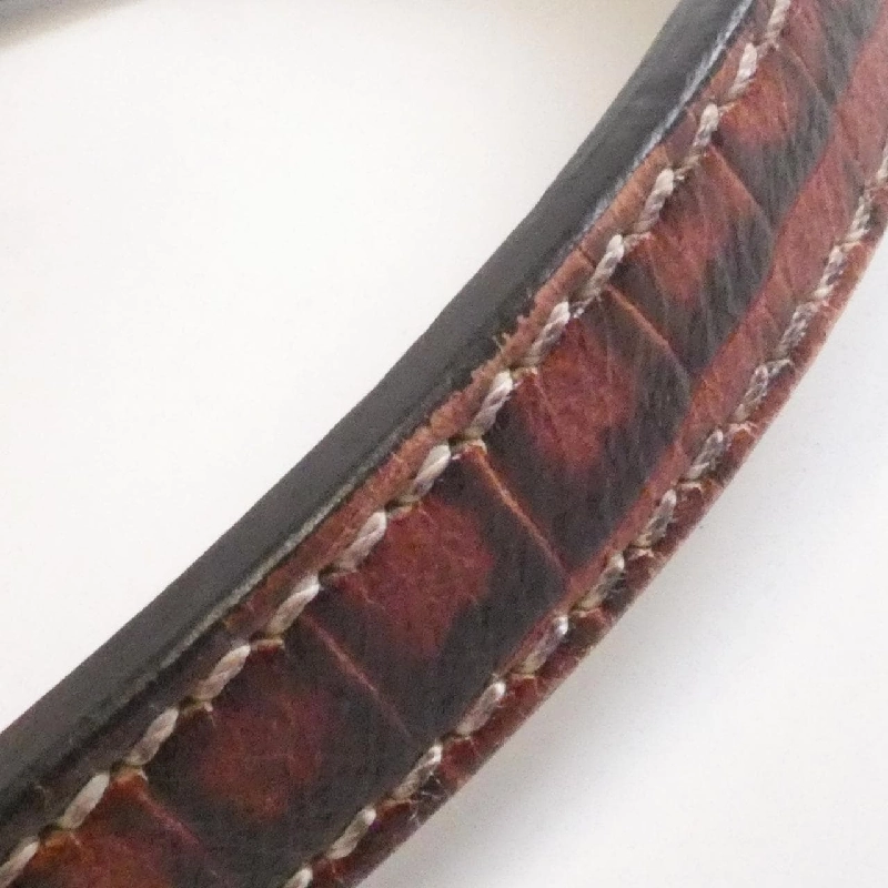 Túi xách vai Celine 160722AJB 609947