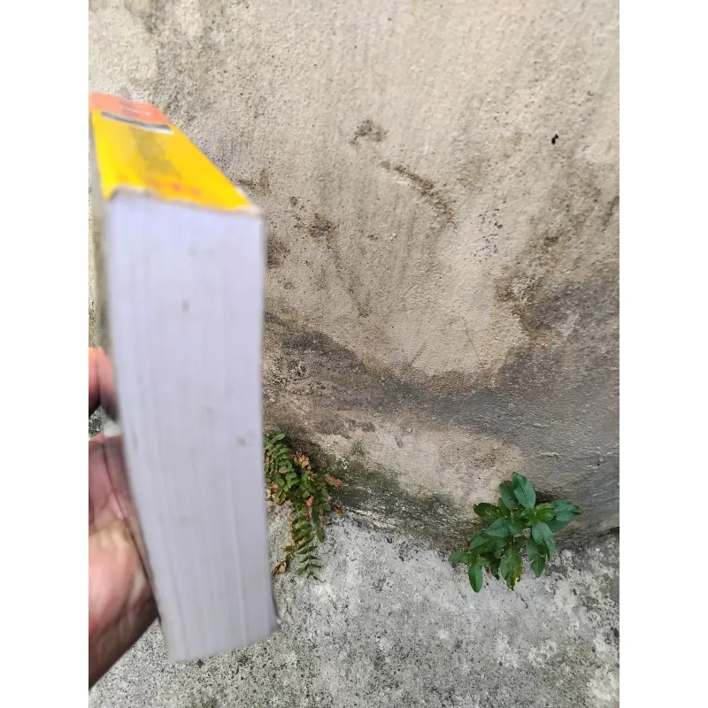 Bí mật gia đình tiểu thuyết của Irène Frain  1005704