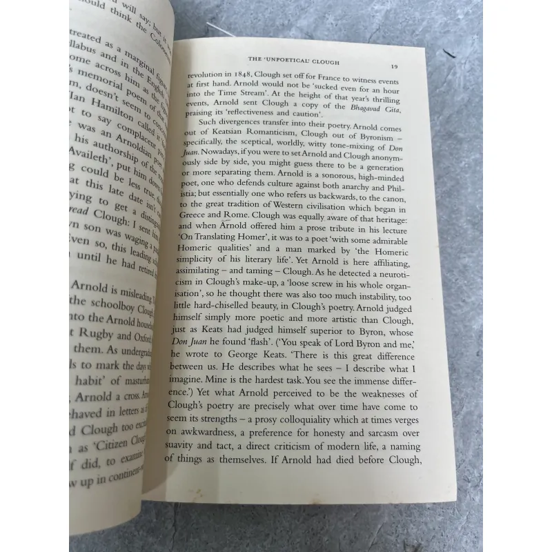 THROUGH THE WINDOW - JULIAN BARNES 974969