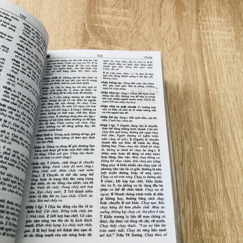 TỪ ĐIỂN TIẾNG VIỆT PHỔ THÔNG  1004654