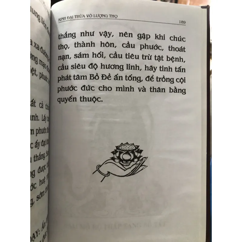 Phật thuyết đại thừa vô lượng thọ trang nghiêm thanh tịnh bình đẳng giác kinh  1009767