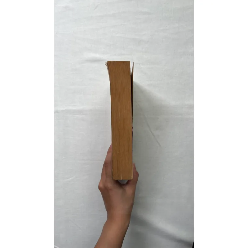 Gate of the Sun - Elias Khoury  991980