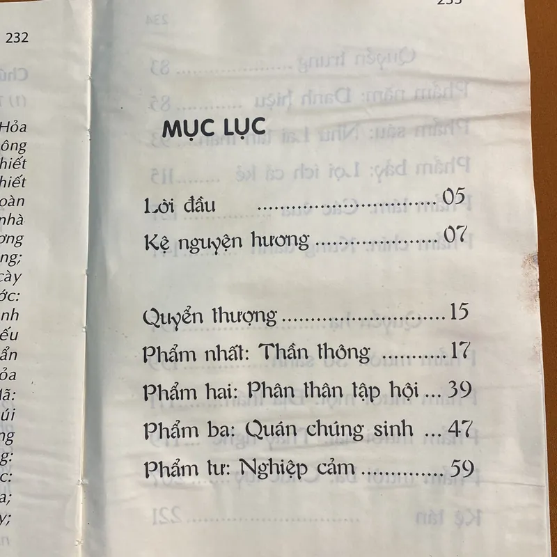 Kinh Địa Tạng Bồ Tát Bổn Nguyện - Thích Trúc Thạnh Hòa Việt dịch 605263