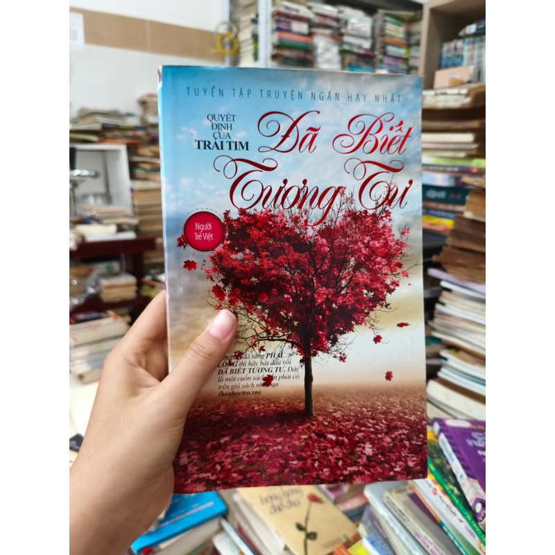 Đã biết tương tư 🌱 473561