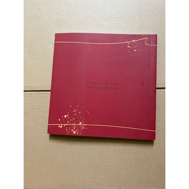 Bát nhã thi ký 736708