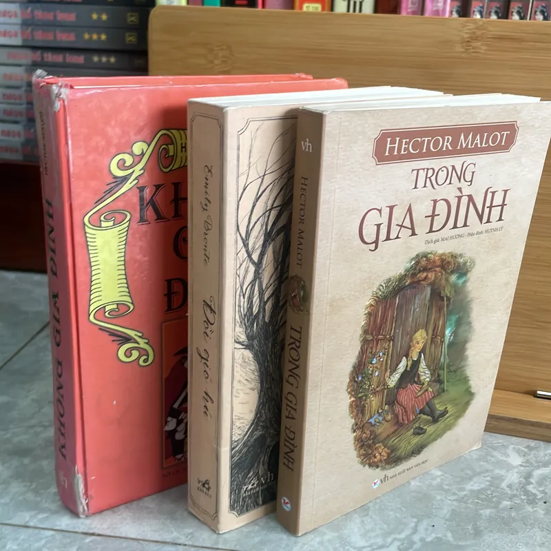 Không Gia Đình ,Trong Gia Đình , Đồi gió Hú 605054