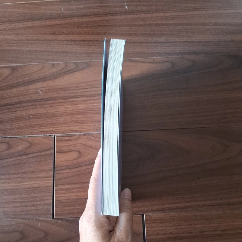 Cánh chim trong gió - tản mạn về điện ảnh - lê hồng lâm 523561