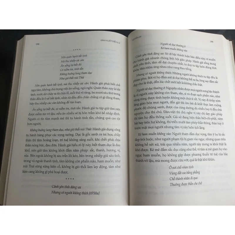 Bộ Kinh Xuất Diệu - Thích Minh Cảnh 699057