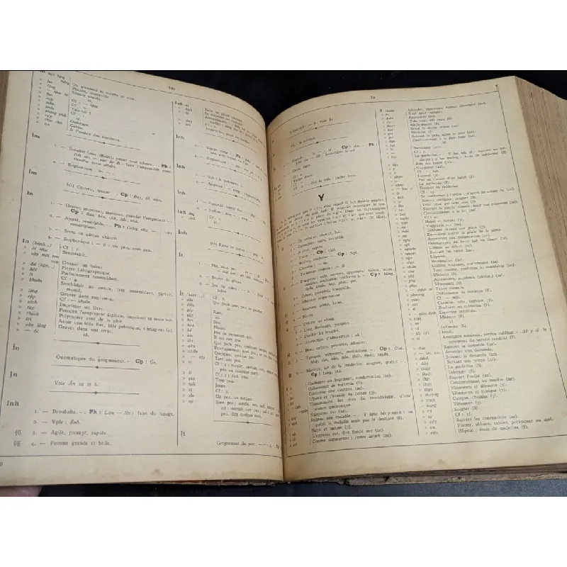 Dictionnaire vietnamien chinoiis francaise -Eugène 719146