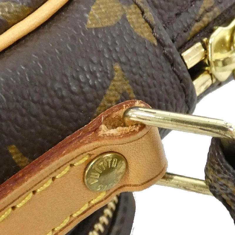 Túi đeo vai Louis Vuitton Monogram Amazon M45236 - Hàng hiệu Authentic 802896