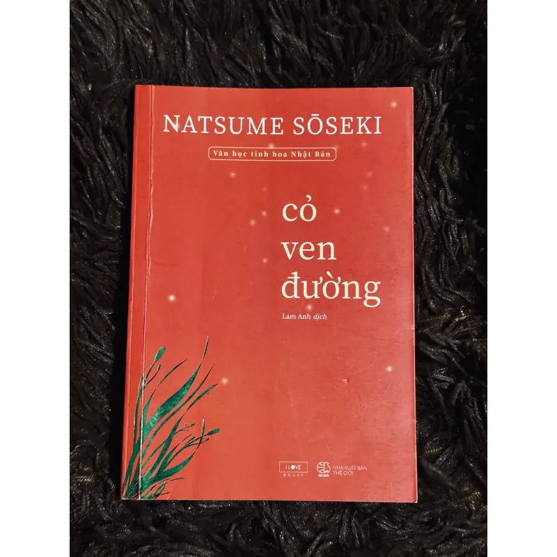 Cỏ ven đường 999175