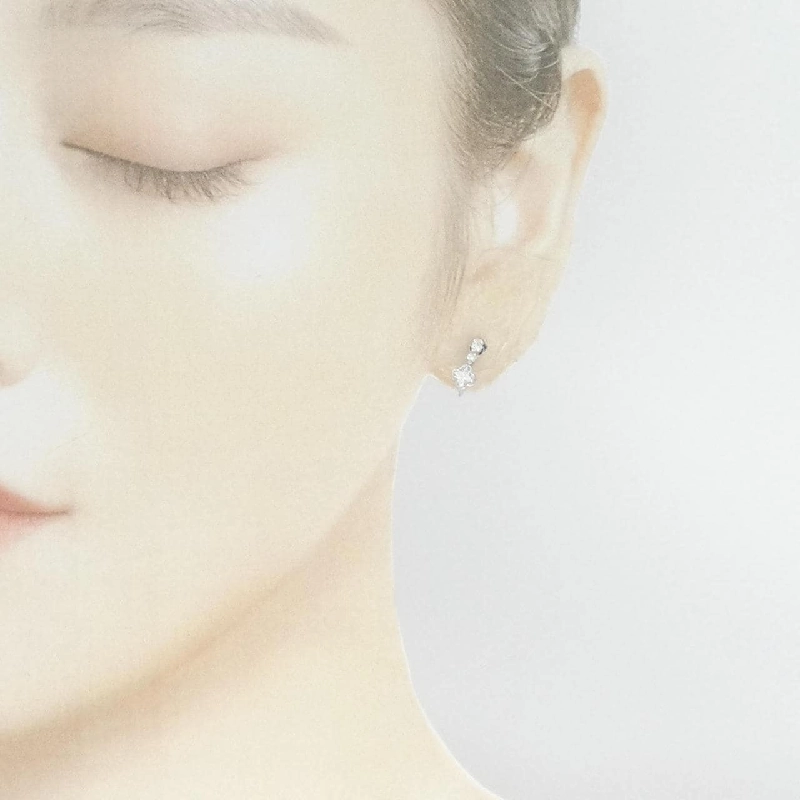 PT900 Bông tai kim cương 0.534CT - Hàng hiệu Chính hãng 872208