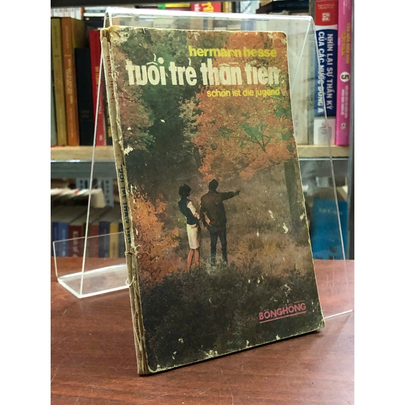 TUỔI TRẺ THẦN TIÊN - HERMAN HESSE 463905