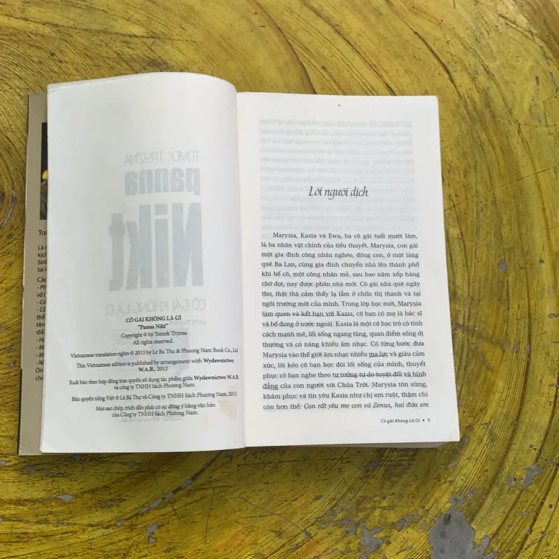 CÔ GÁI KHÔNG LÀ GÌ - TOMEK TRYZNA 753397